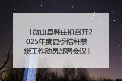微山县韩庄镇召开2025年度夏季秸秆禁烧工作动员部署会议